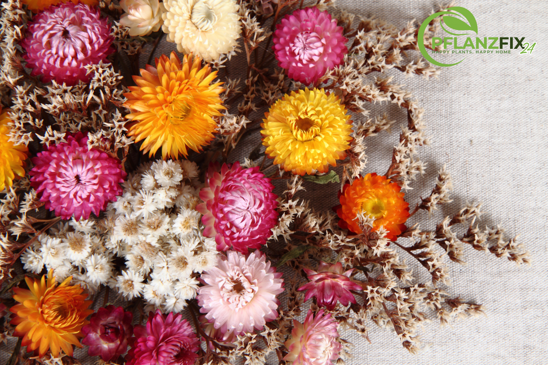 Getrocknete Blumen in einer stilvollen Vase als natürliche Deko für Zuhause