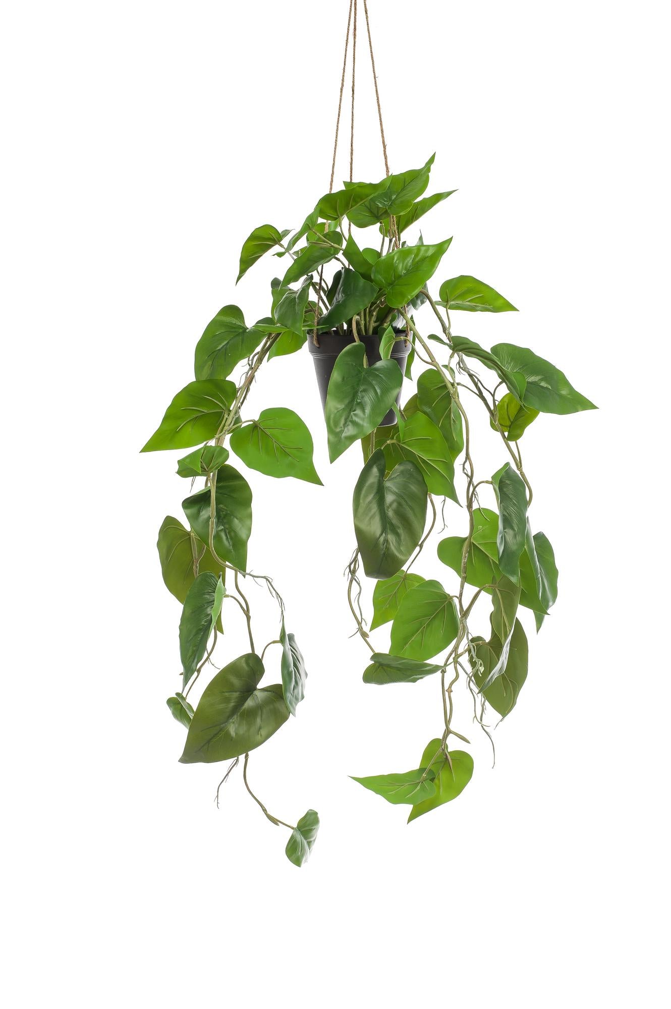 Kunstpflanze Philodendron Hängepflanze 80 cm – Pflegeleicht & Realistisch | Pflanzfix24.de - Pflanzfix24.de