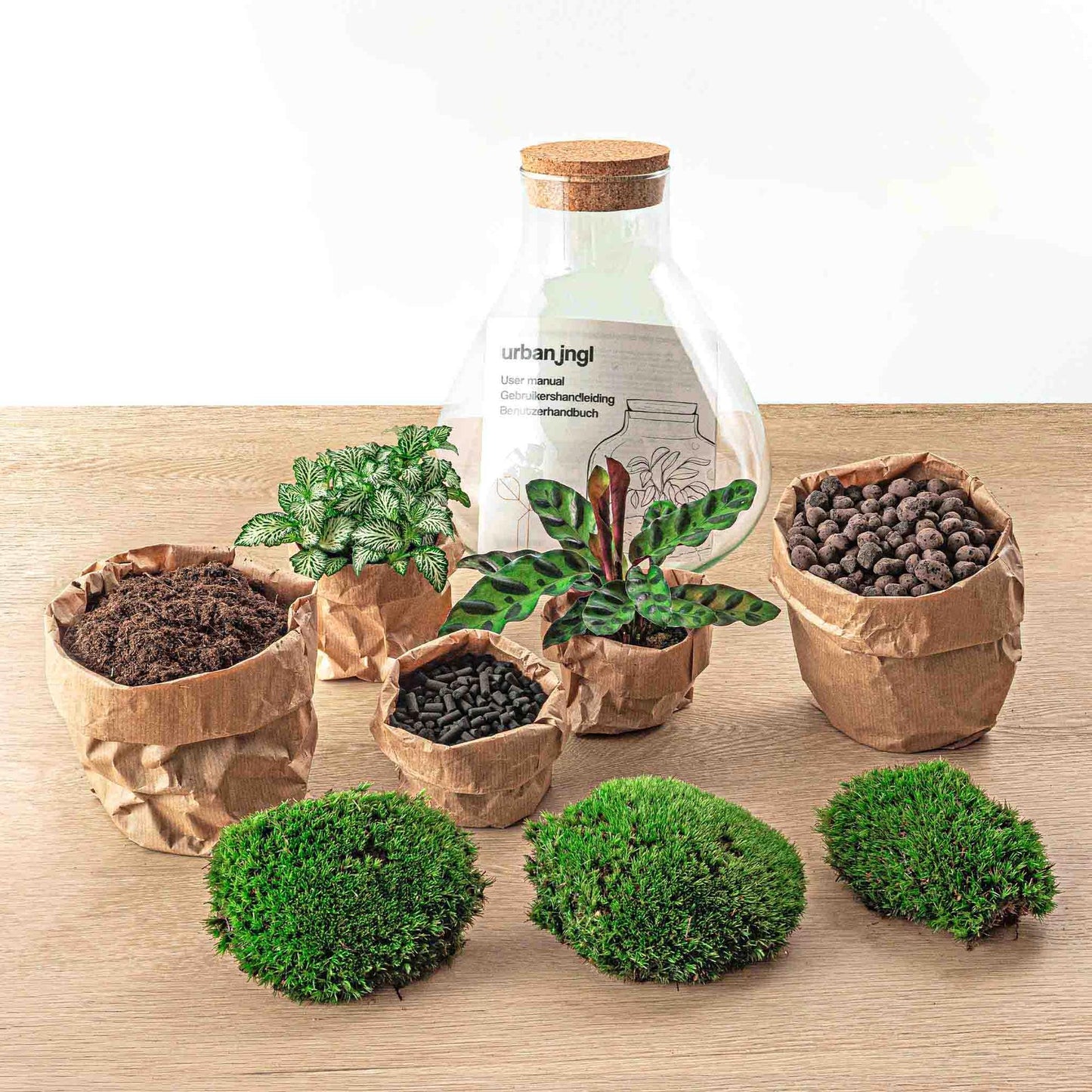 DIY Terrarium - Sammie - ↕ 27 cm - Pflanzfix24.de - Pflanzfix24.de