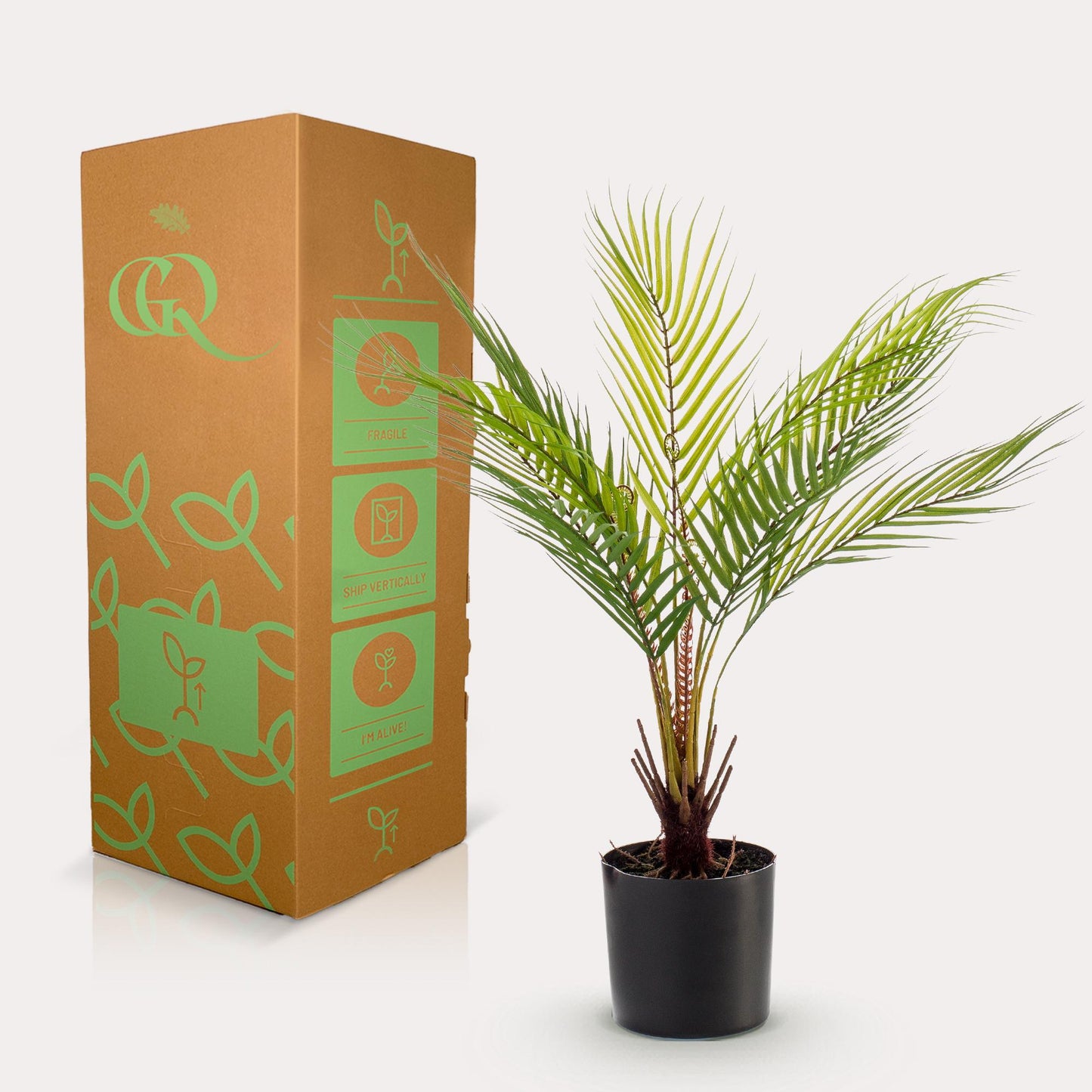 Kunstpalme Chamaedorea Elegans 50 cm – Pflanzfix24.de - Pflanzfix24.de