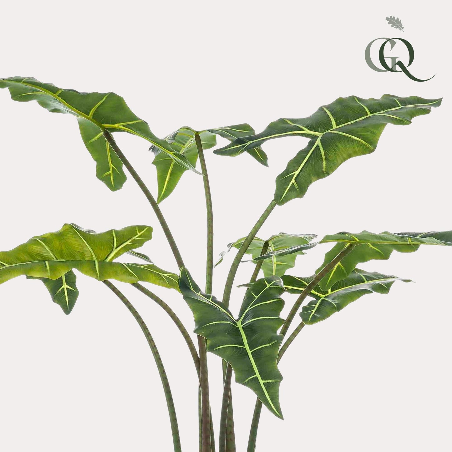 Kunst-Alocasia Frydek 120 cm – Pflanzfix24.de - Pflanzfix24.de