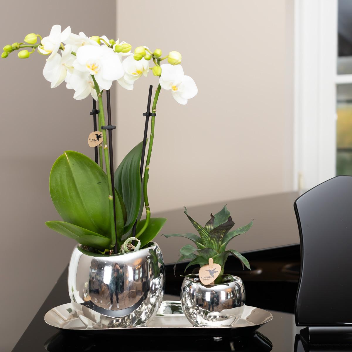 Kolibri Home Teller oval Silber Ø30cm - Pflanzfix24.de - Pflanzfix24.de
