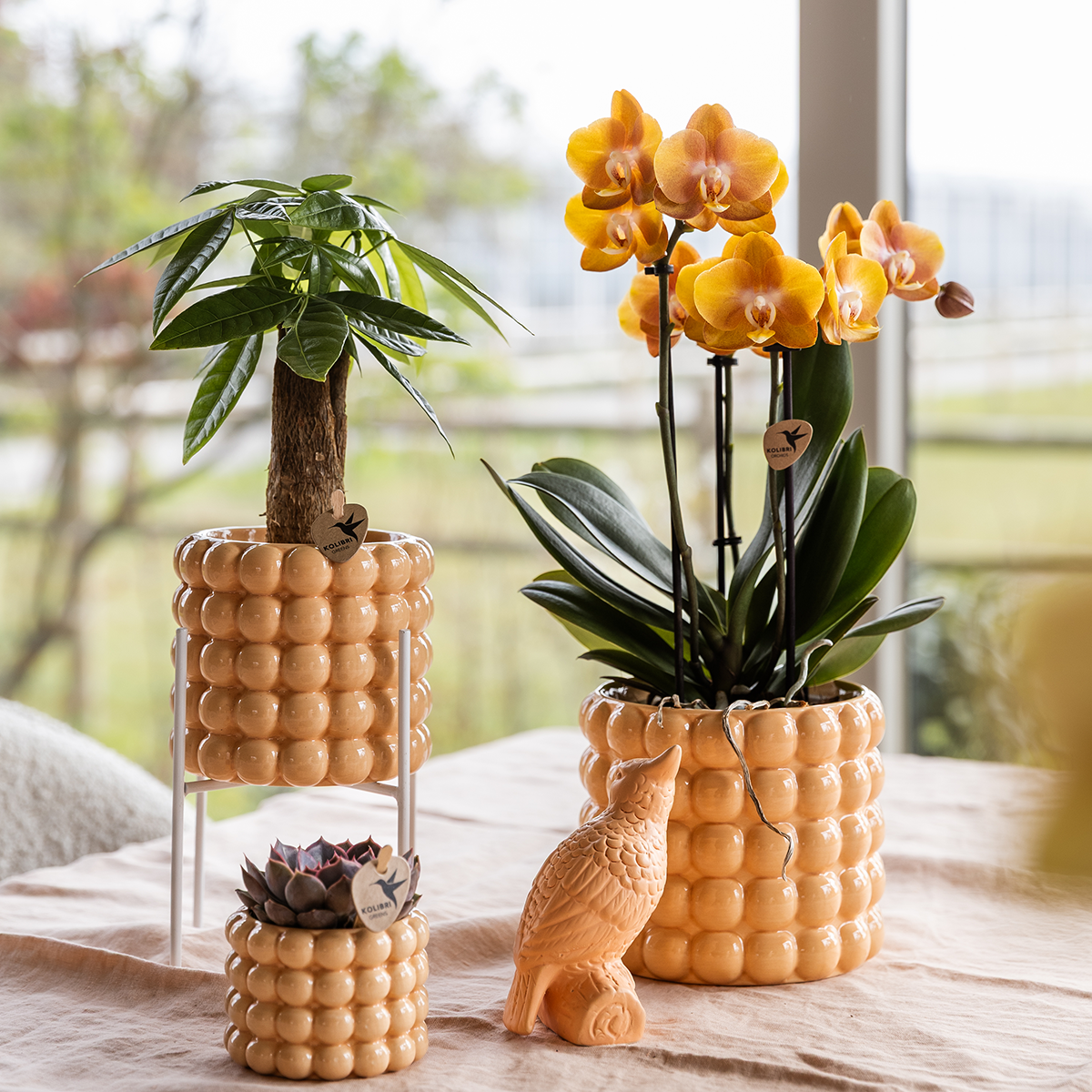 pflanzfix24 | Kolibri Home | Poppy Ziertopf - Peach - Ø6cm