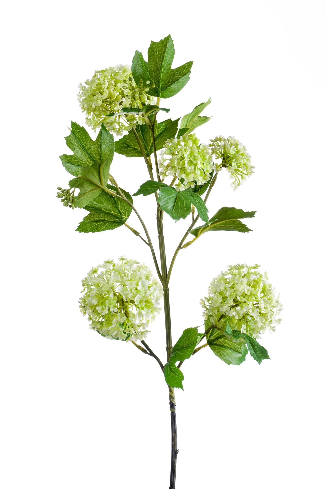 Kunstzweige Viburnum Opulus Crème – 4er Set – 75 cm | Pflanzfix24