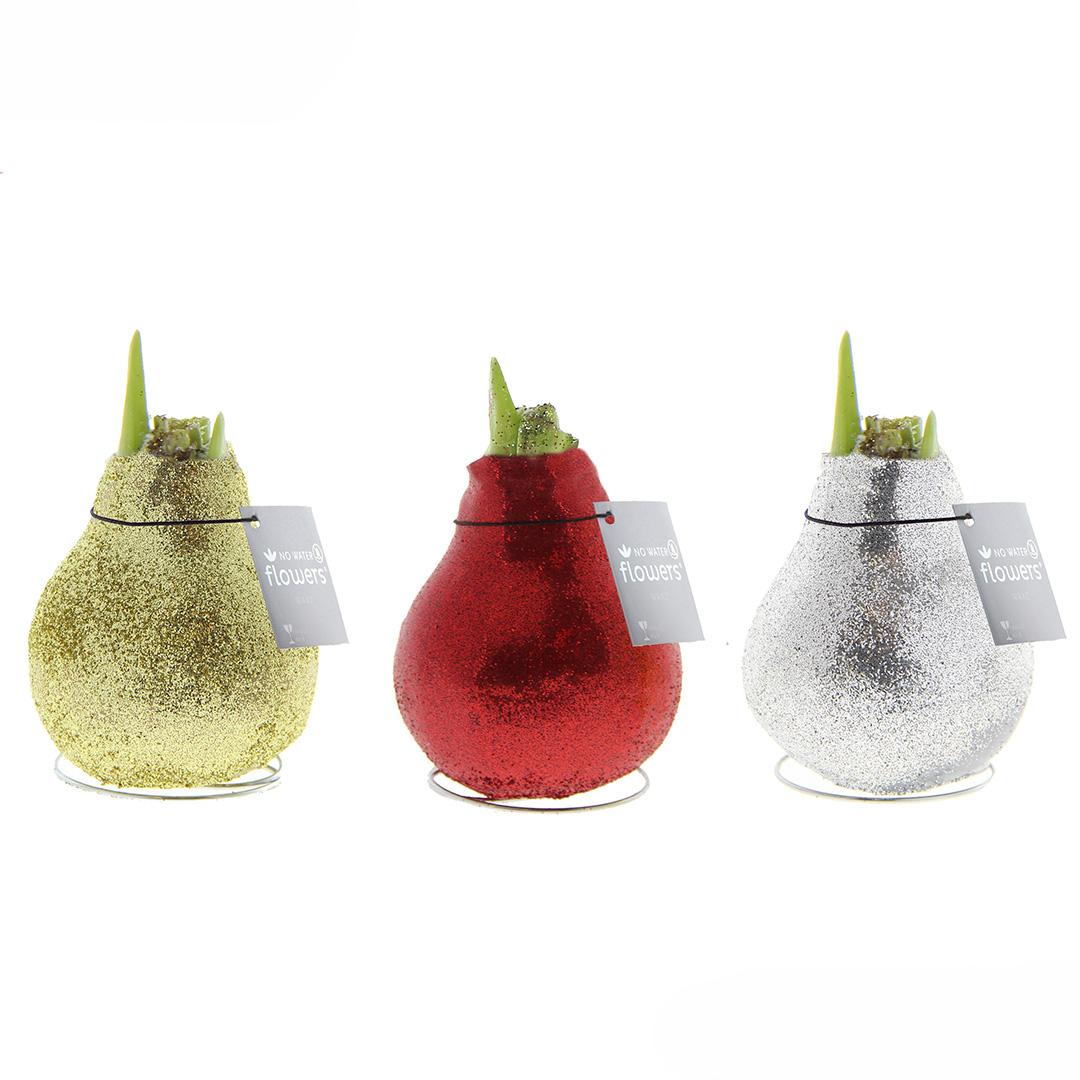 No Water Flowers® (wax amaryllis) | Glitterz® Classic Mix (3 pack) + Red flower - Pflanzfix24