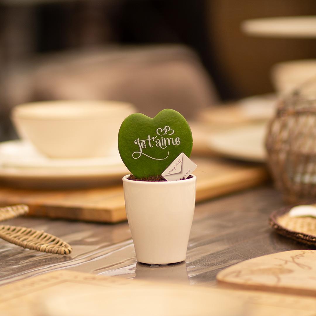 Message Printz® Hoya (Heartplant) | Je t'aime - Pflanzfix24