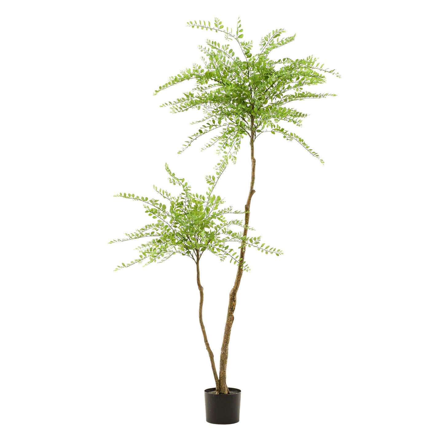 Kunstpflanze Sophora Tree 190 cm – Honigbaum | Pflanzfix24.de - Pflanzfix24.de