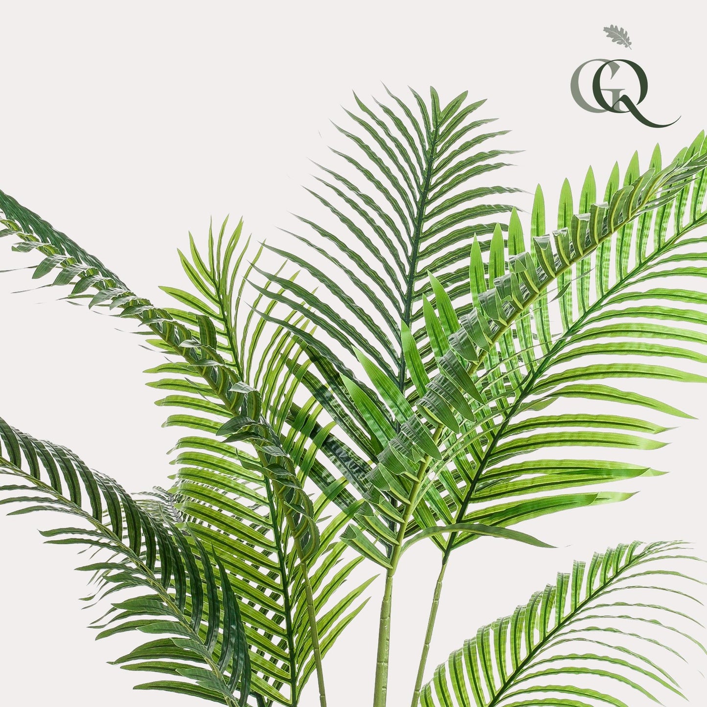 Howea Forsteriana Kunstpalme 160cm – Pflegeleicht | Pflanzfix24.de - Pflanzfix24.de