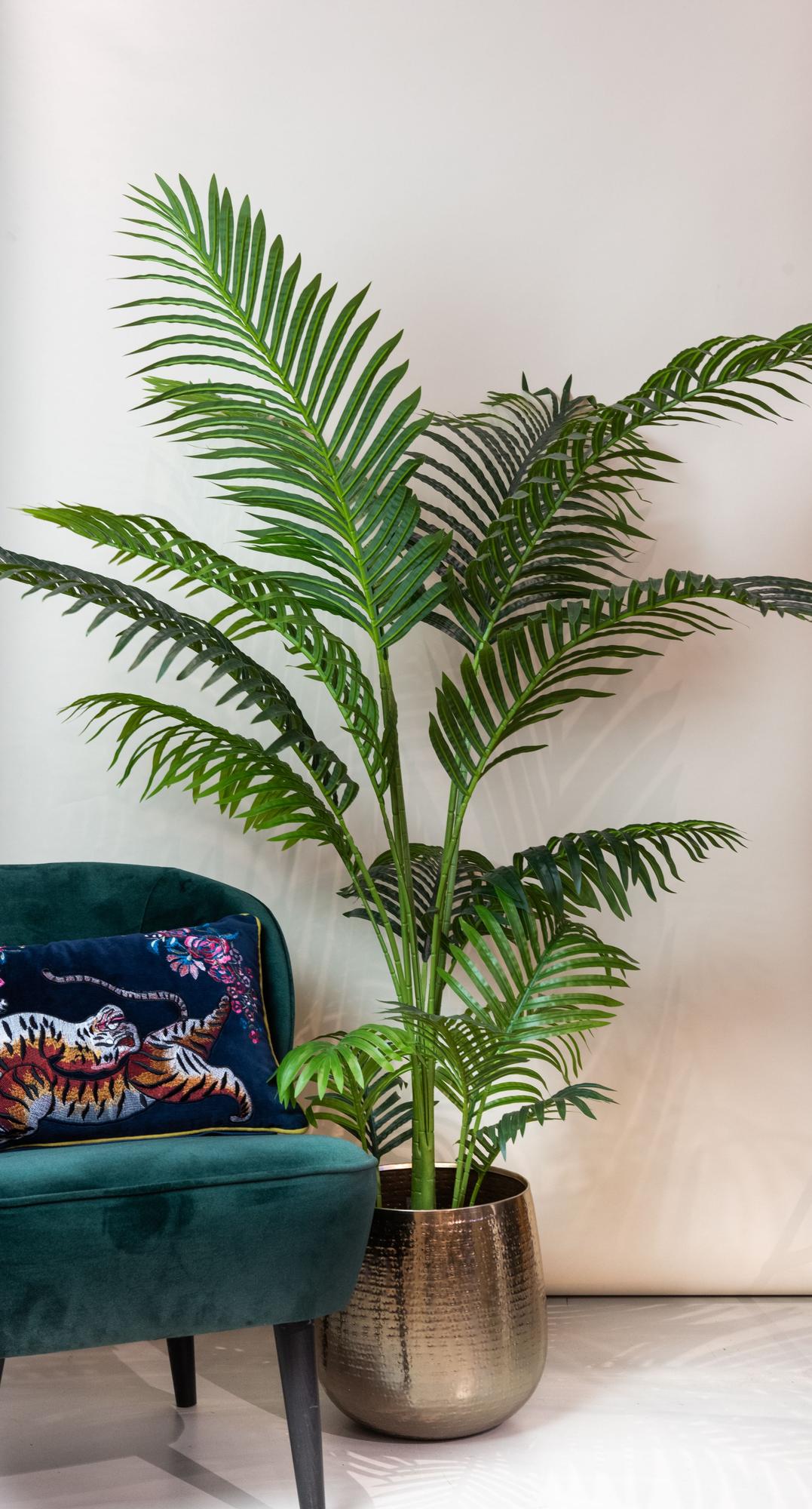 Howea Forsteriana Kunstpalme 160cm – Pflegeleicht | Pflanzfix24.de - Pflanzfix24.de