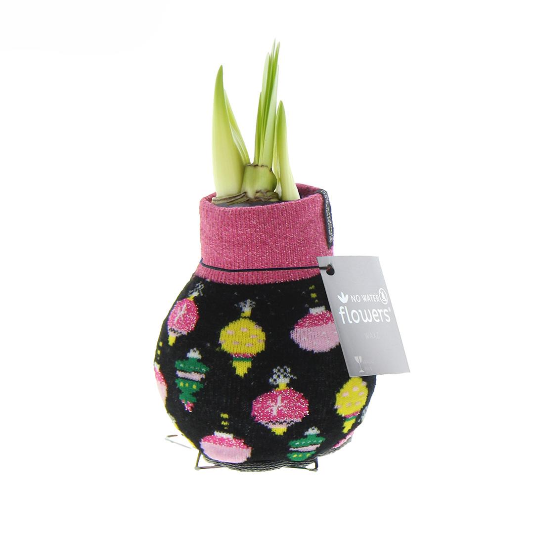 No Water Flowers® (wax amaryllis) | Fashionz Patterns Disco - Black + Red flower - Pflanzfix24