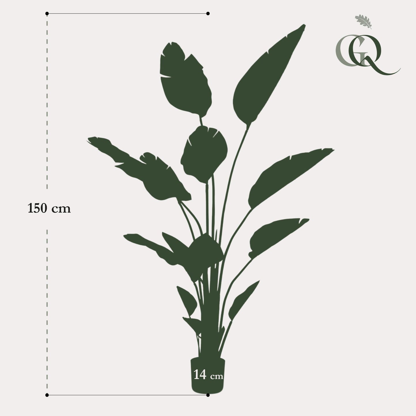 Kunst-Strelitzia Nicolai 150 cm – Paradiesvogelblume | Pflanzfix24.de - Pflanzfix24.de