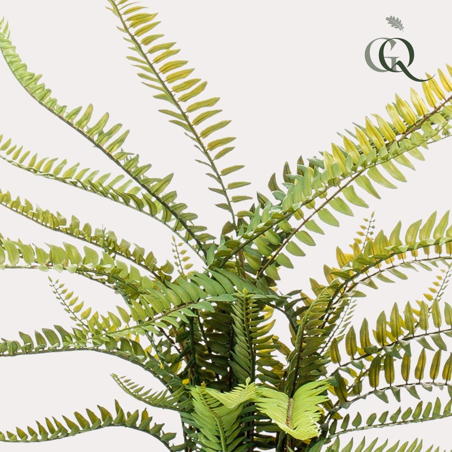 Kunstpflanze Nephrolepis Exaltata Boston Farn 55 cm – Pflegeleicht & Realistisch | Pflanzfix24.de - Pflanzfix24.de