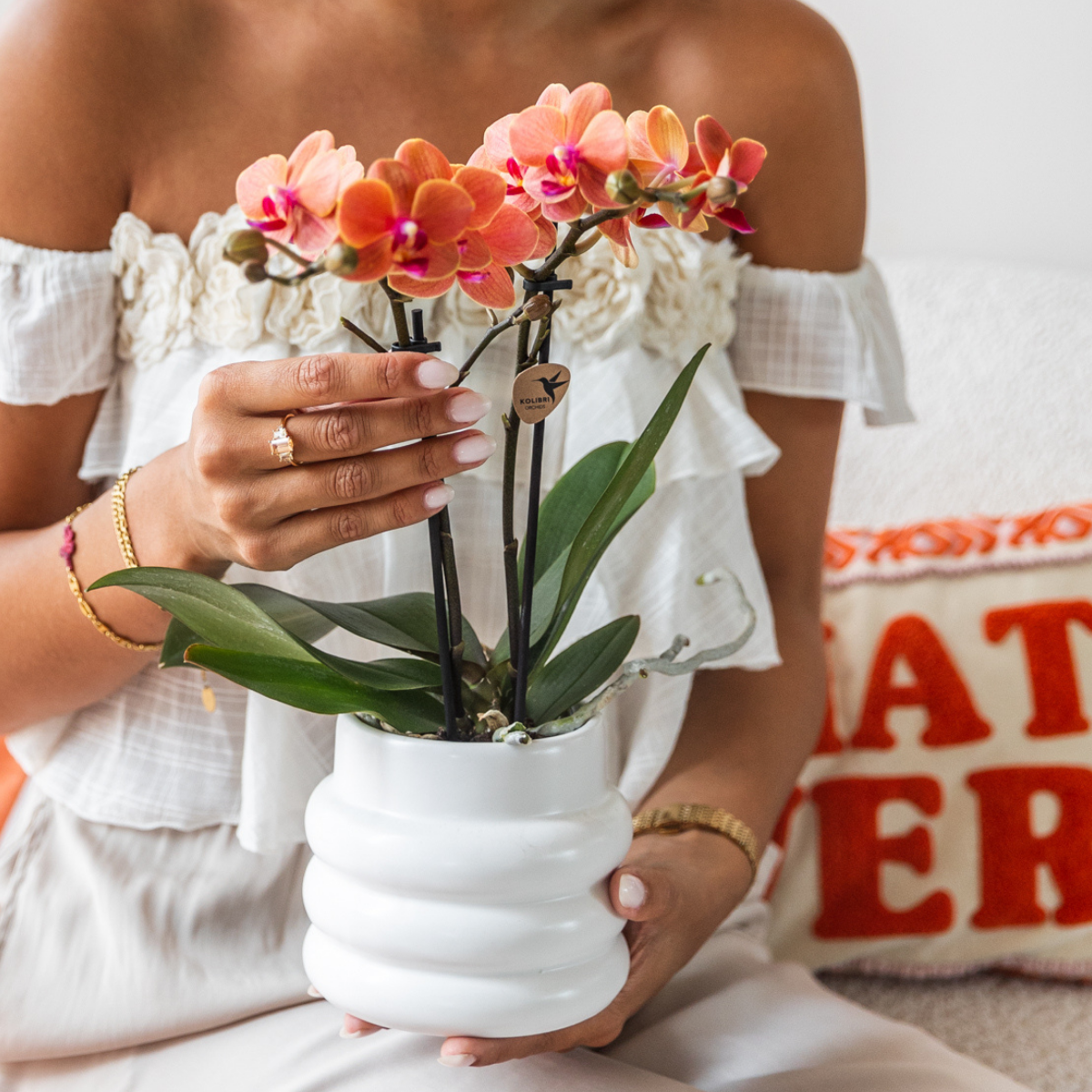 4er Set Phalaenopsis Bozen Orange – Combi Deal Ø9cm | Pflanzfix24.de - Pflanzfix24.de