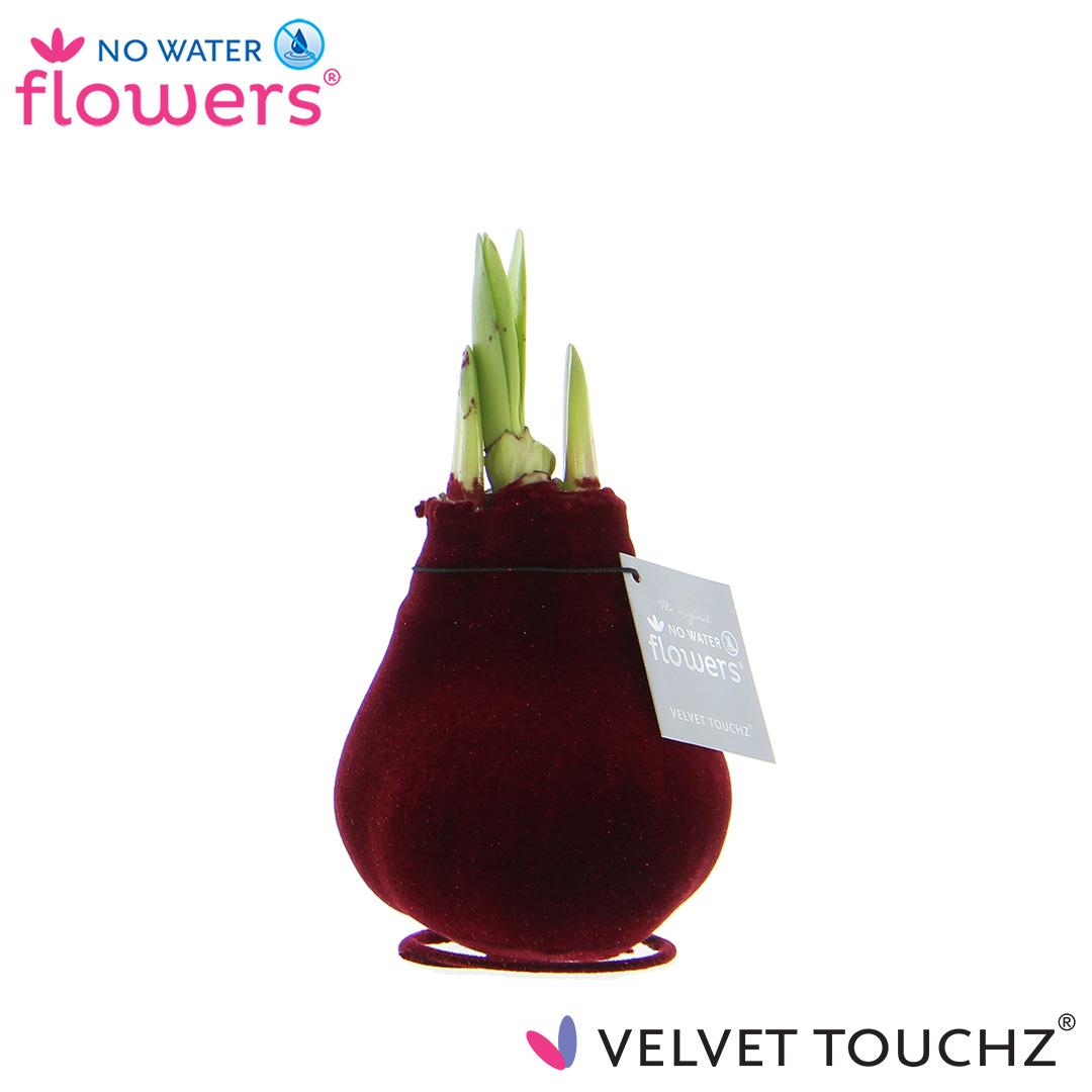 No Water Flowers Velvet Touchz® Bordeaux - ↕15cm - Pflanzfix24