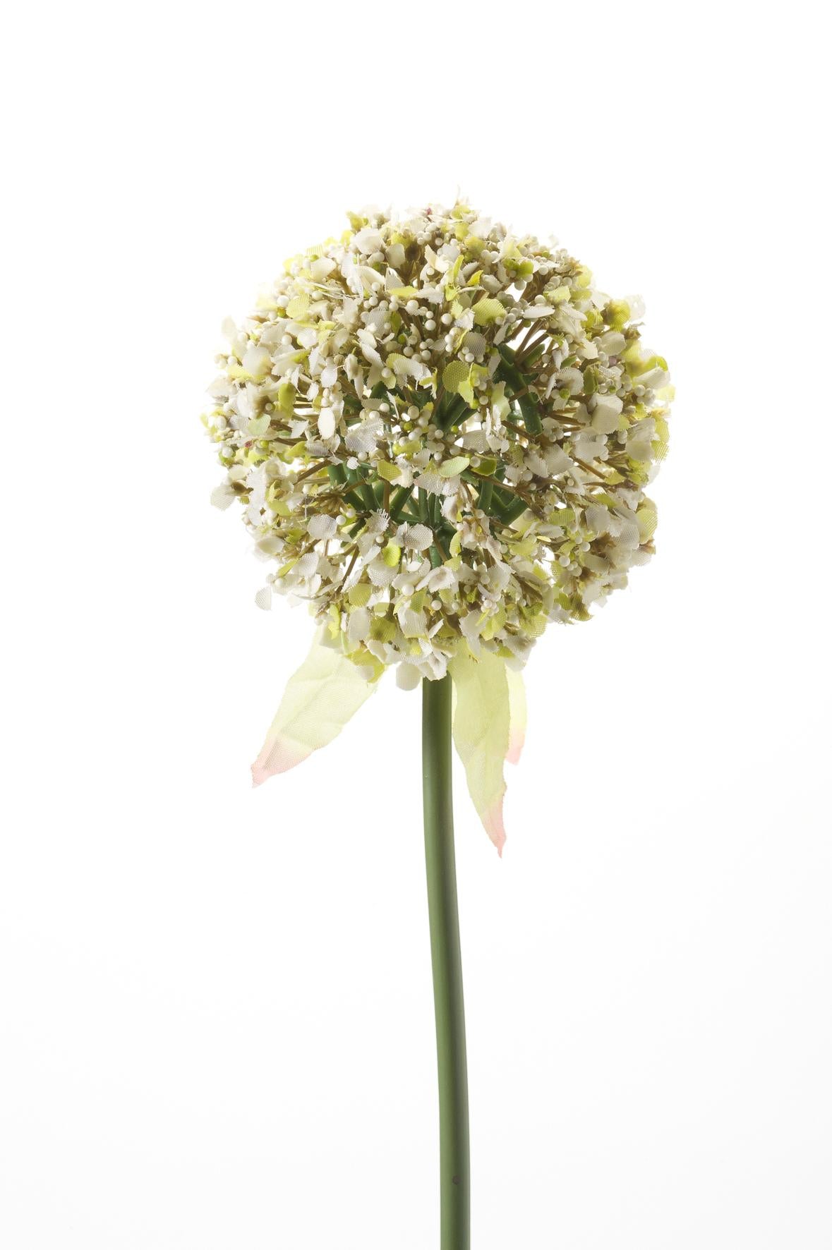 Pflanzfix24 Kunstblumen Solo - White - Allium Flower - x 7 - 70 cm