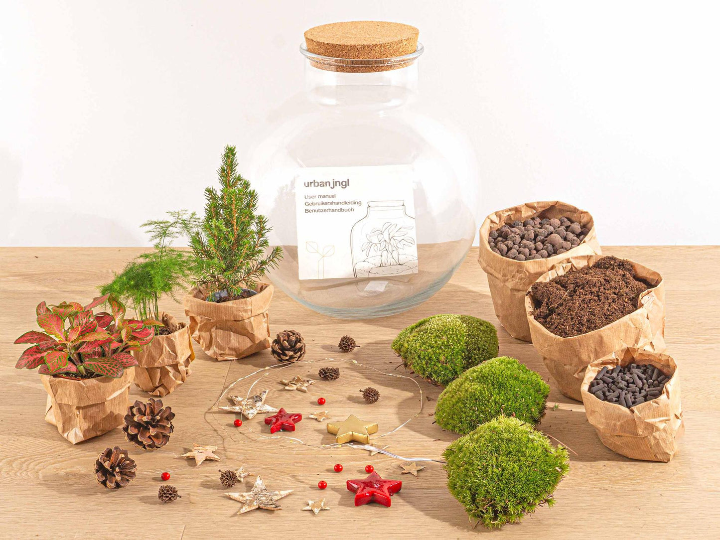 Bolder Bob Bonsai Christmas - DIY - ↕ 30 cm - Pflanzfix24