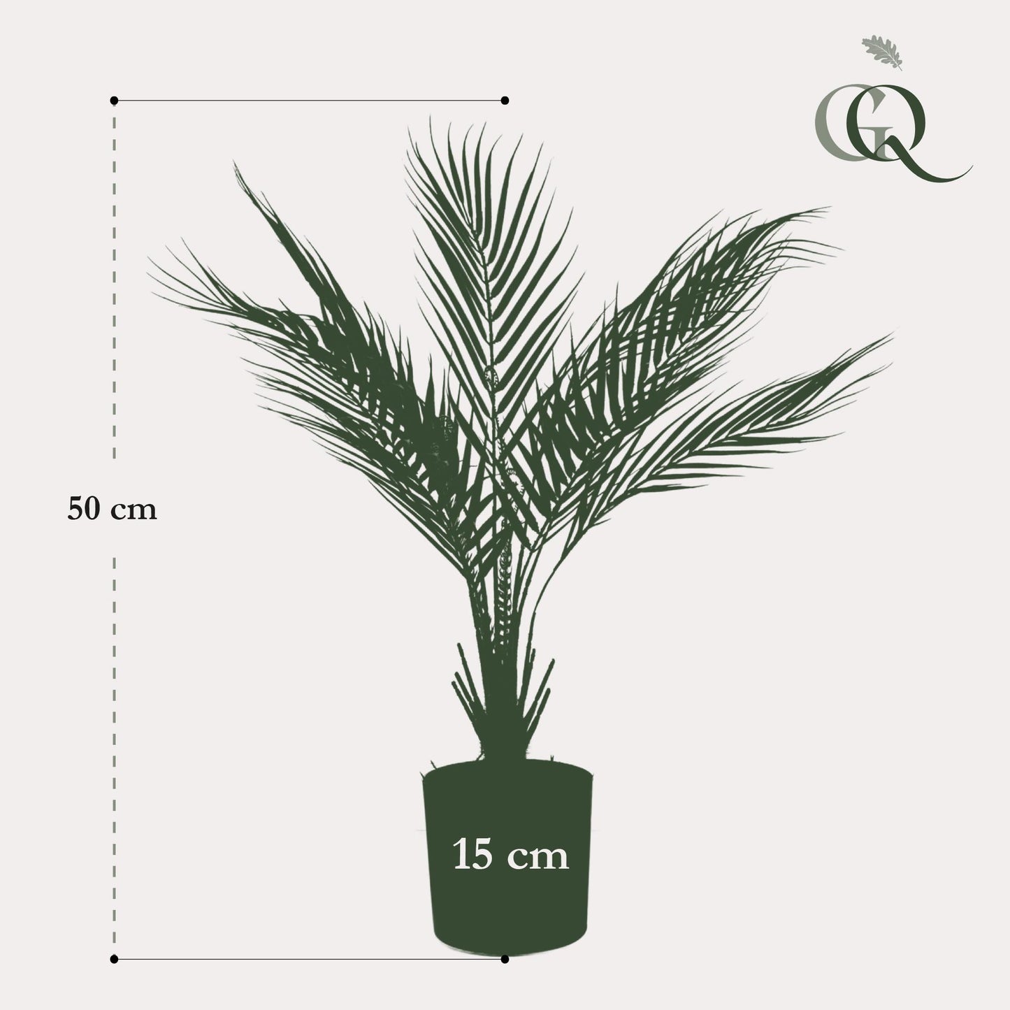 Kunstpalme Chamaedorea Elegans 50 cm – Pflanzfix24.de - Pflanzfix24.de