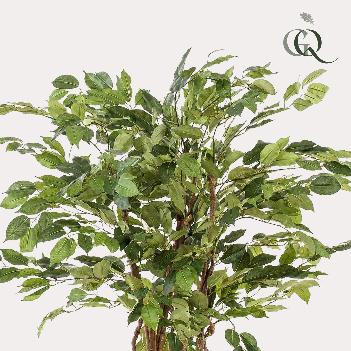 Kunstpflanze Ficus Liana 140 cm – Elegant & Pflegeleicht | Pflanzfix24.de - Pflanzfix24.de