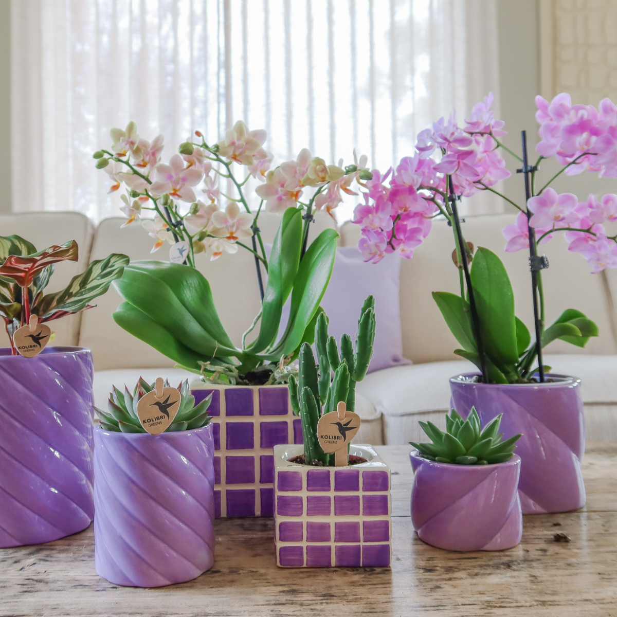 Kolibri Home Mosa Ziertopf Lilac 9cm – pflanzfix24