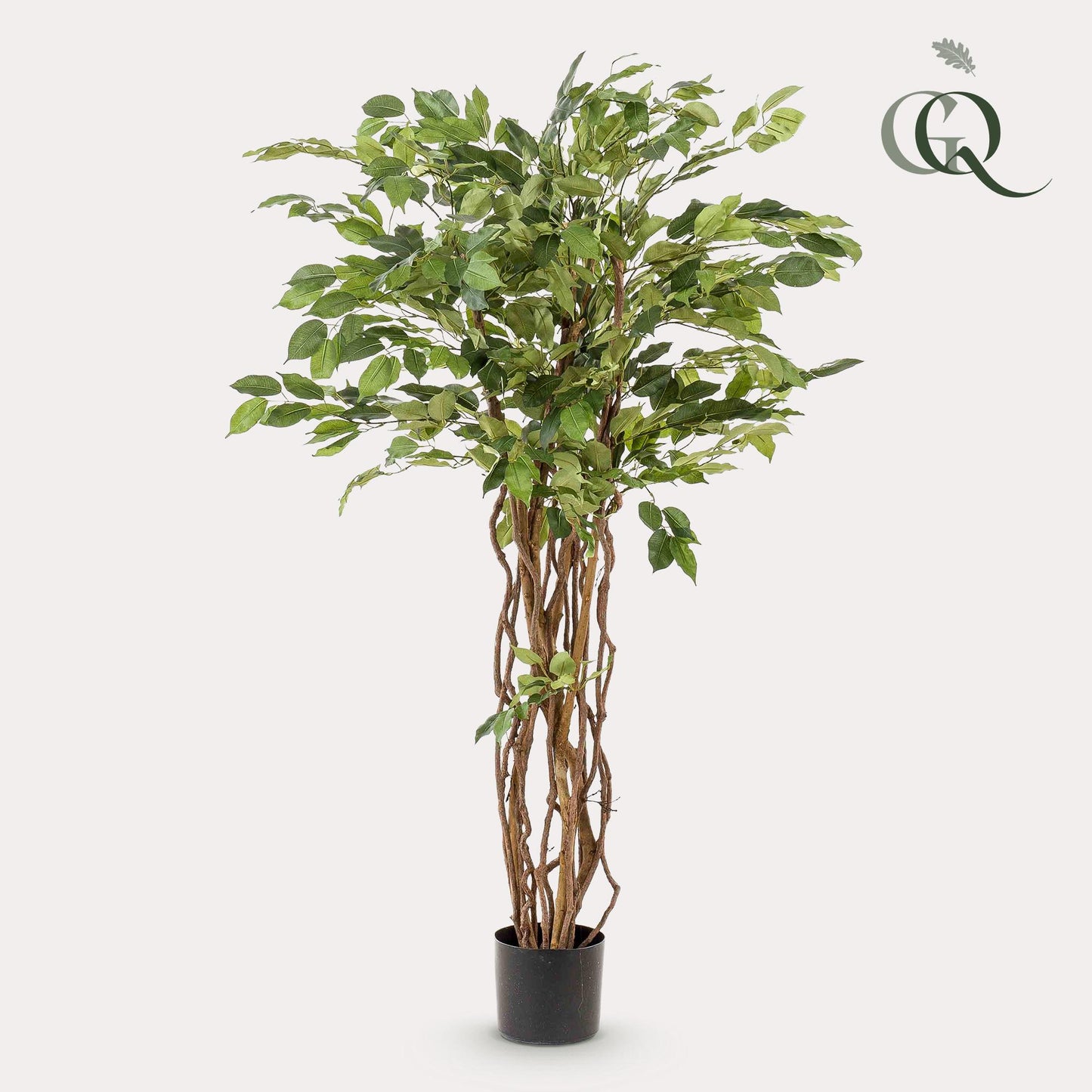 Kunstpflanze Ficus Liana 140 cm – Elegant & Pflegeleicht | Pflanzfix24.de - Pflanzfix24.de