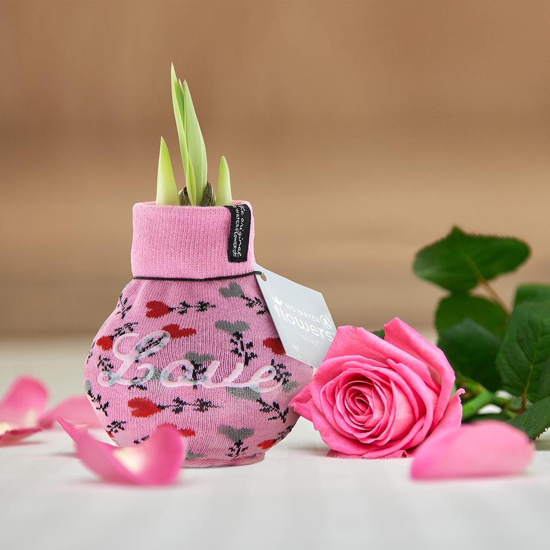 No Water Flowers® Fashionz Love Mix (2 pack) + Red flower - Pflanzfix24