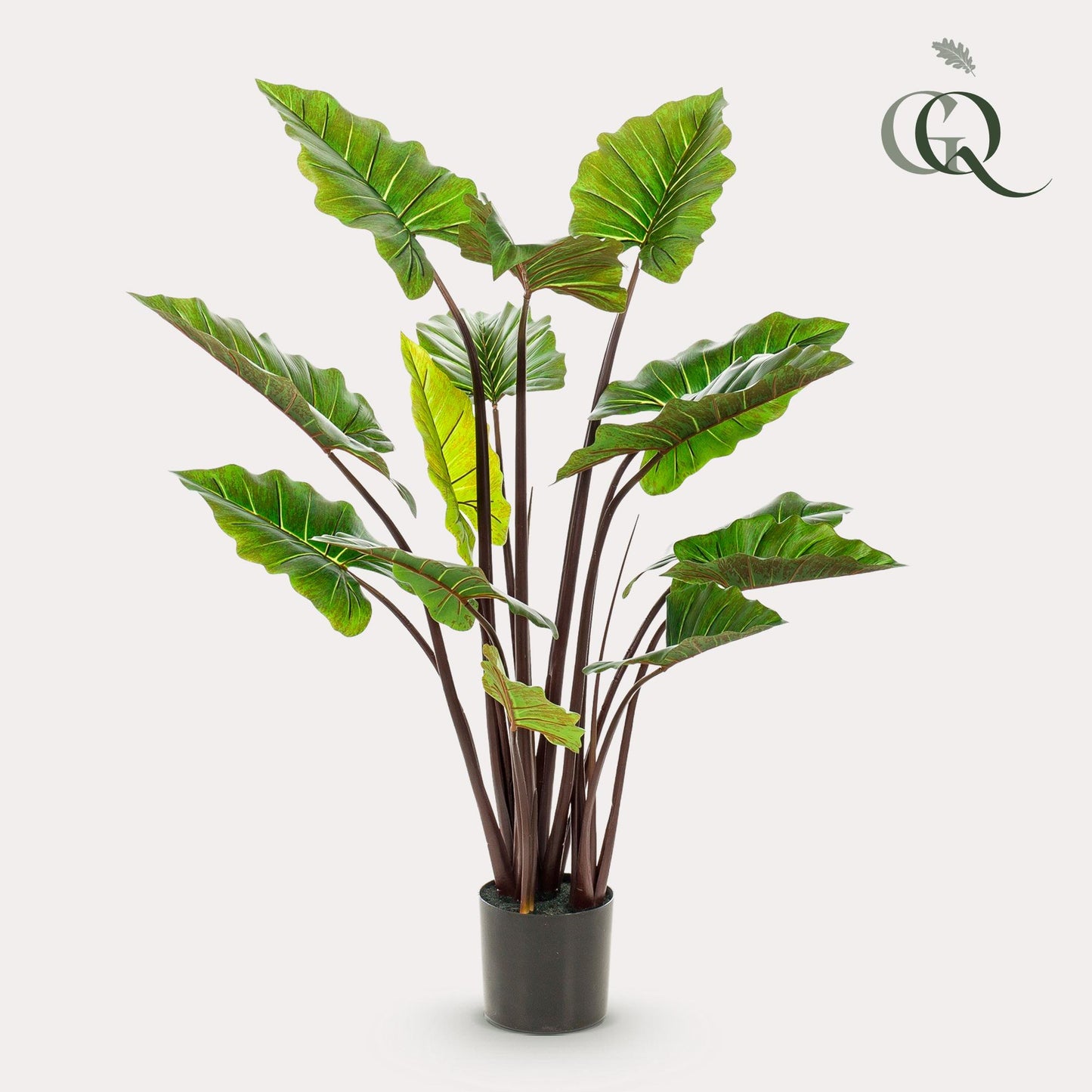 Colocasia Pink China Kunstpflanze 130 cm – Elefantenohr | Pflanzfix24.de - Pflanzfix24.de