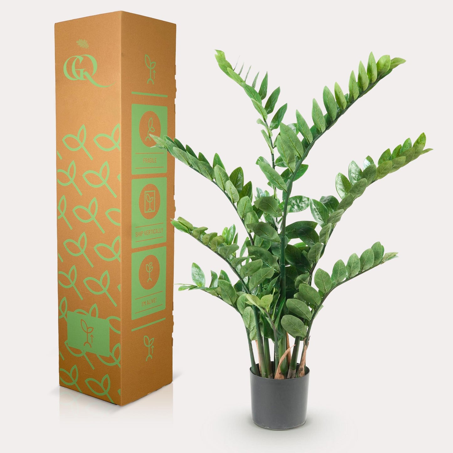 Kunst-Zamioculcas (Zimmerpalme) 110 cm – Pflegeleichte Deko | Pflanzfix24.de - Pflanzfix24.de