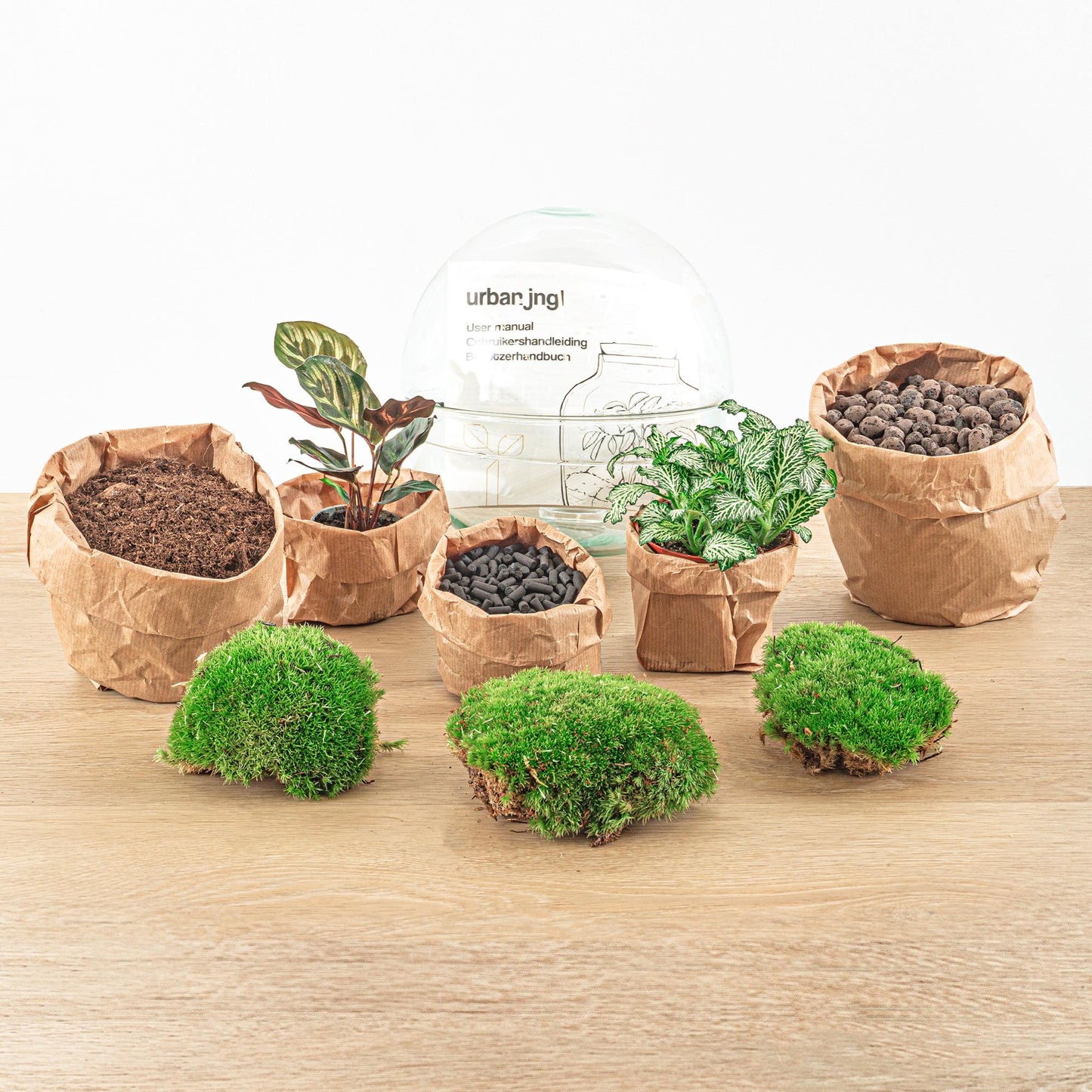 Flaschengarten Dome DIY-Set - Pflanzfix24.de - Pflanzfix24.de