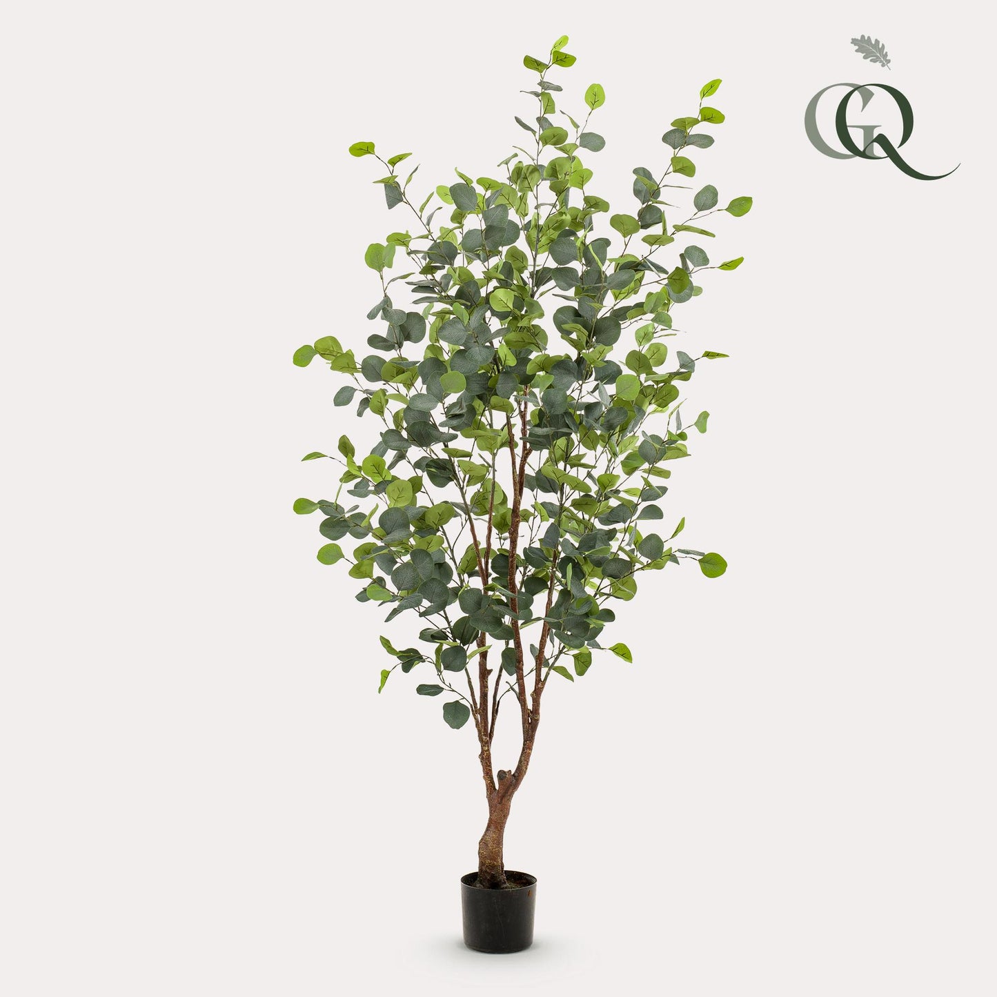 Eucalyptusbaum Kunstpflanze 140cm – Blauer Gummibaum | Pflanzfix24.de - Pflanzfix24.de