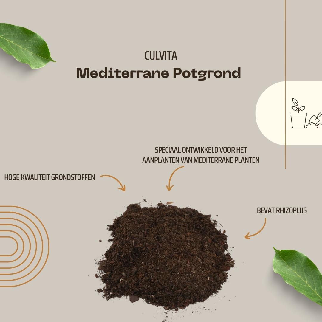 Culvita - Mediterrane Blumenerde 40 Liter inklusive RhizoPlus - Pflanzfix24.de - Pflanzfix24.de