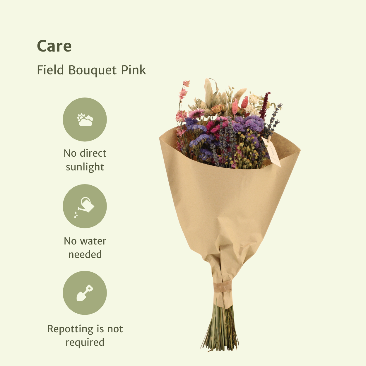 Trockenblumenstrauß Rosa Ø20 cm – Pflanzfix24.de - Pflanzfix24.de