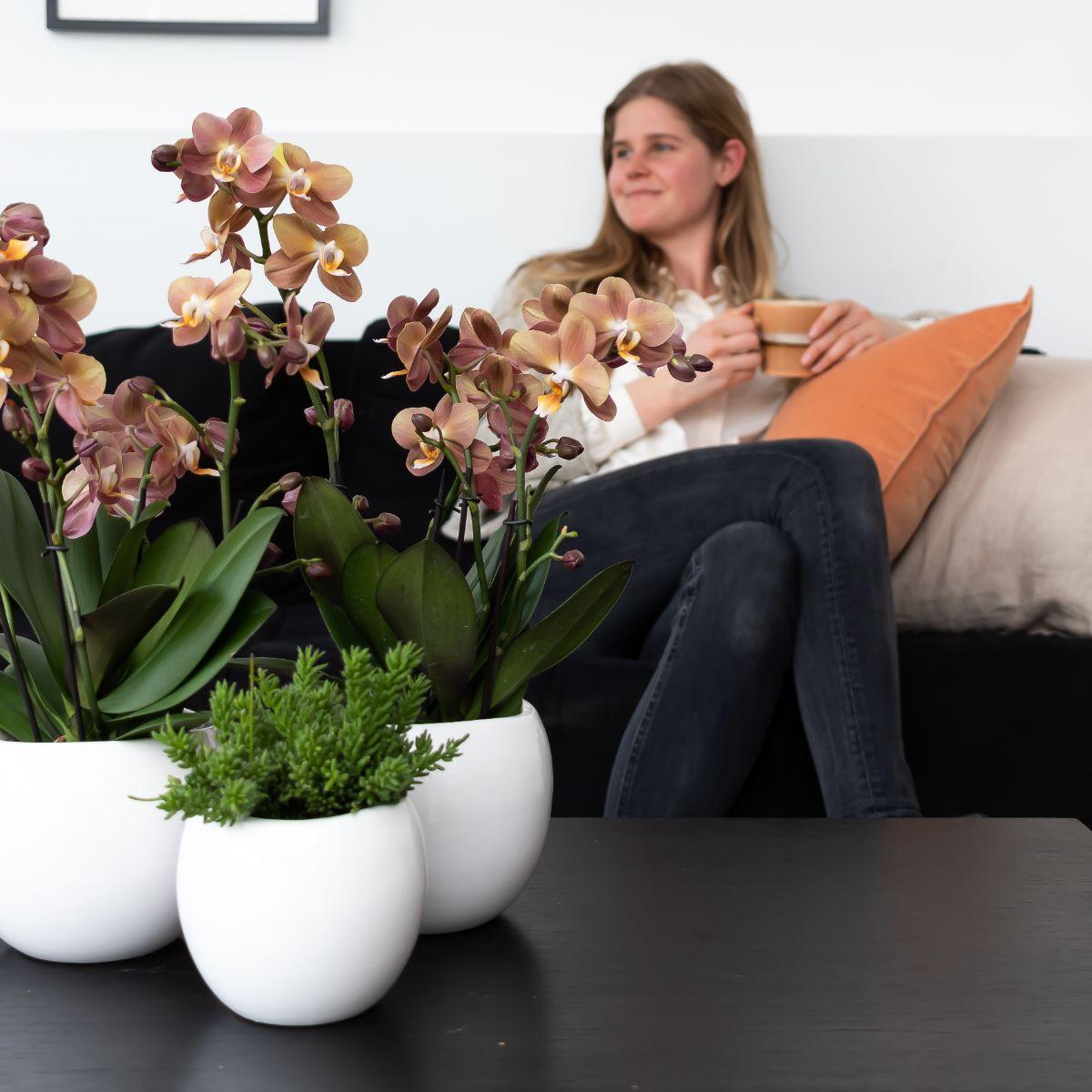 Bowl Blumentopf Weiß Ø9cm – Handgefertigter Keramiktopf mit Wellenrand | Pflanzfix24.de - Pflanzfix24.de