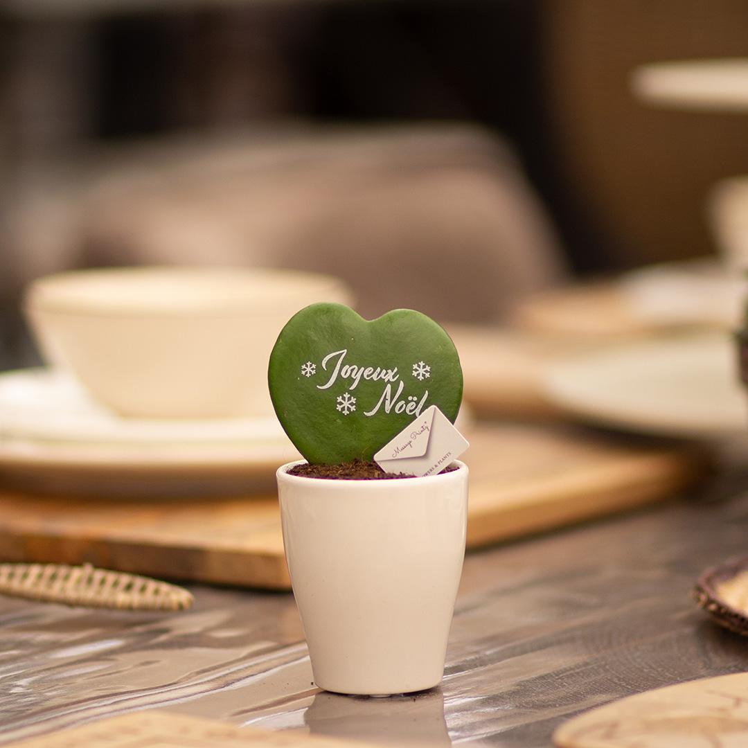 Message Printz® Hoya (Heartplant) | Joyeux Noël - Pflanzfix24