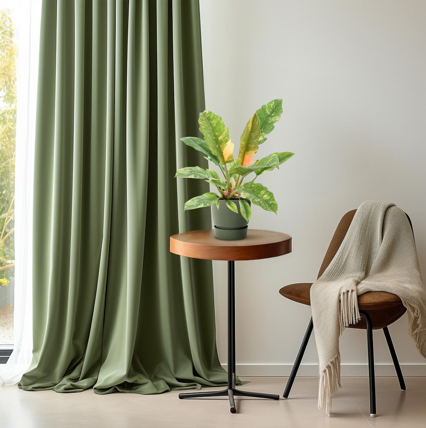 Philodendron Narrow 'Ring Of Fire' P14 - Pflanzfix24
