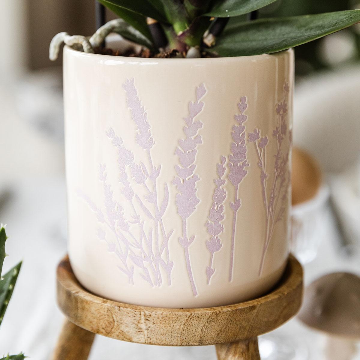 Blumentopf Lavendel 9 cm - Kolibri Home bei Pflanzfix24
