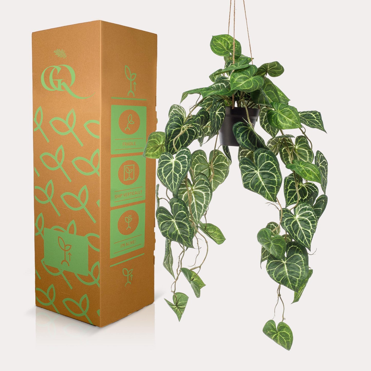 Kunst-Anthurium Clarinervium 80 cm – Pflanzfix24.de - Pflanzfix24.de