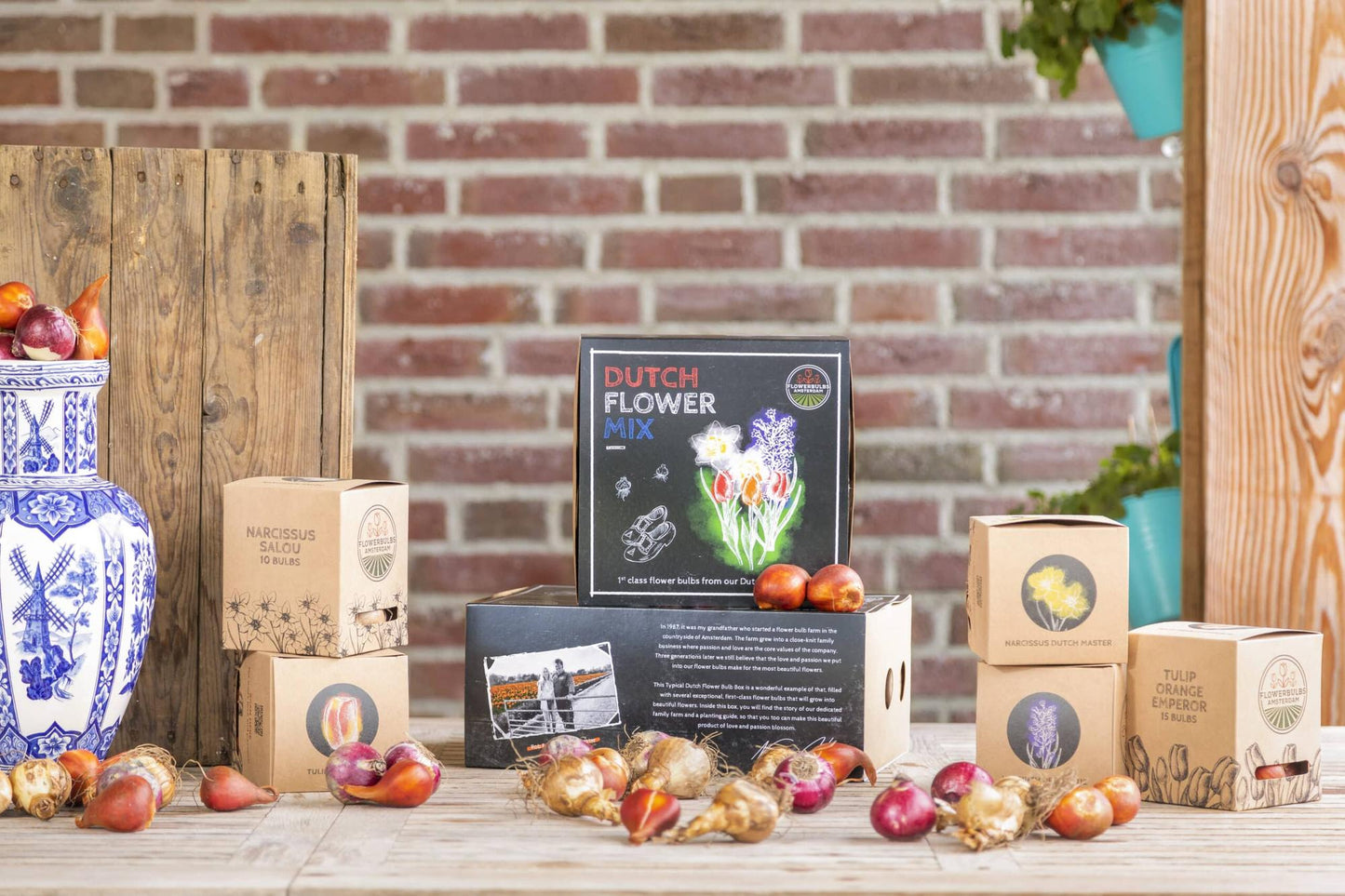 Flowerbulbs Amsterdam - Dutch Flower Mix - Luxusbox mittel, 40 Blumenzwiebeln - Pflanzfix24