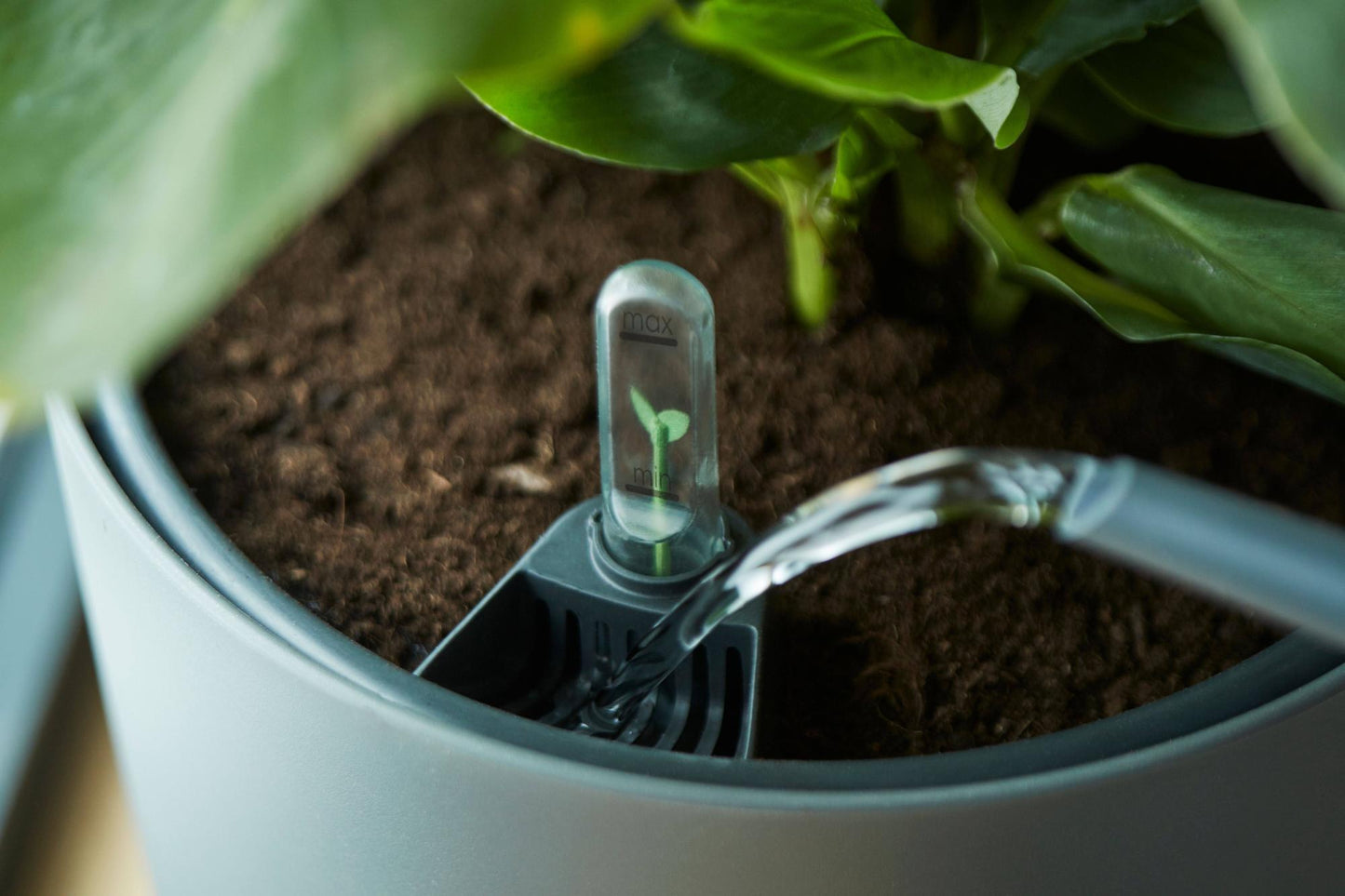 Self Watering Insert 33 cm | Pflanzfix24.de - Pflanzfix24.de