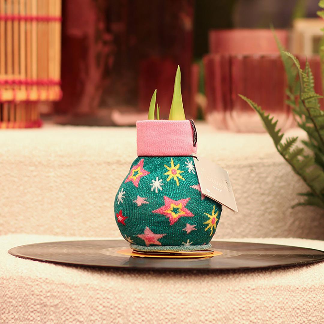 No Water Flowers® Fashionz Patterns Disco - Green + Red flower - Pflanzfix24