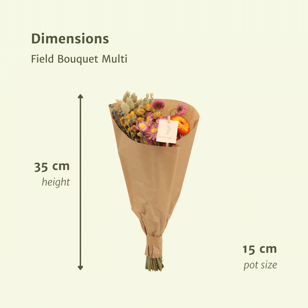 Trockenblumen Feldblumenstrauß Multi Ø15cm | Pflanzfix24.de - Pflanzfix24.de