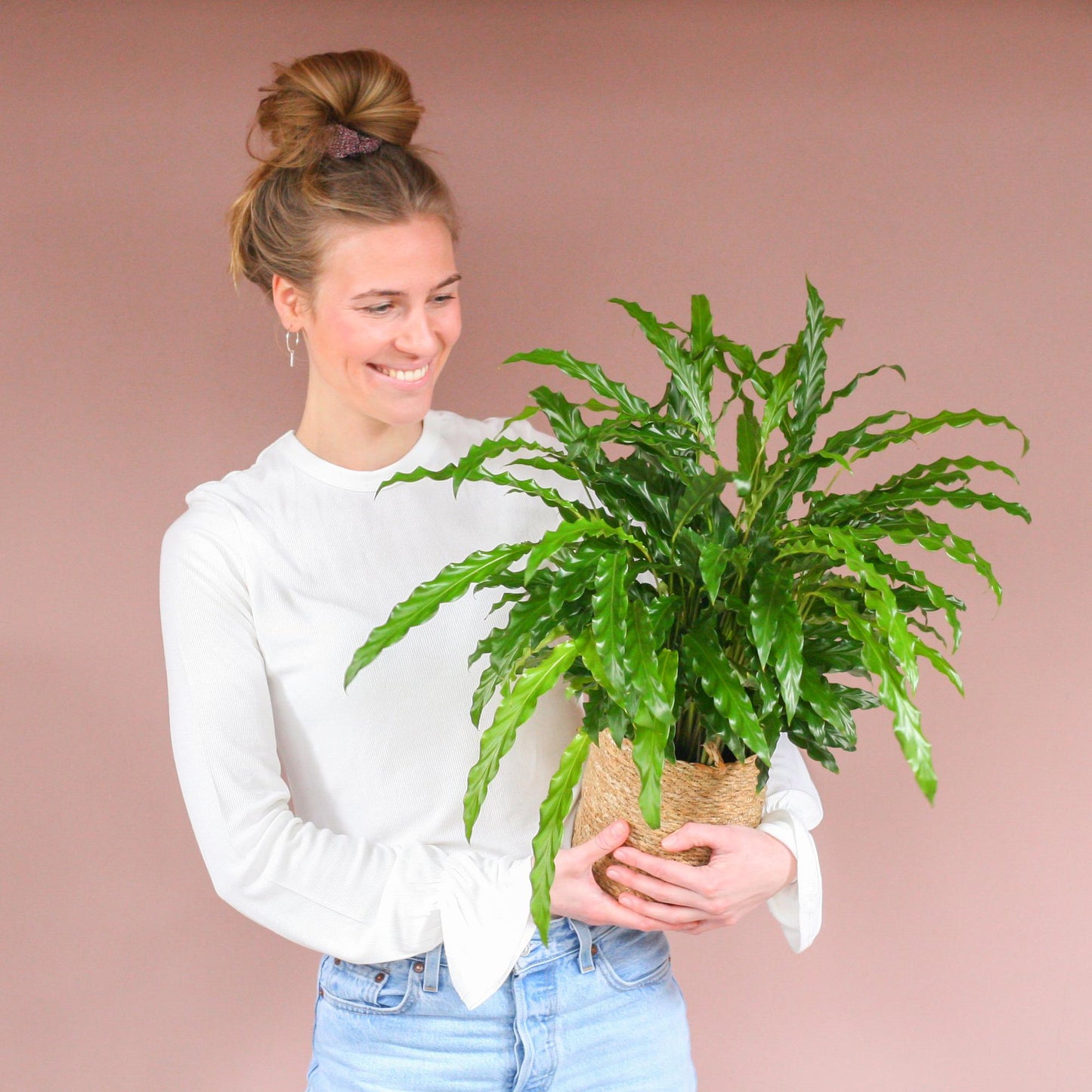Calathea Rufibarba - Samt-Calathea im Sofia-Korb - 55cm - Pflanzfix24