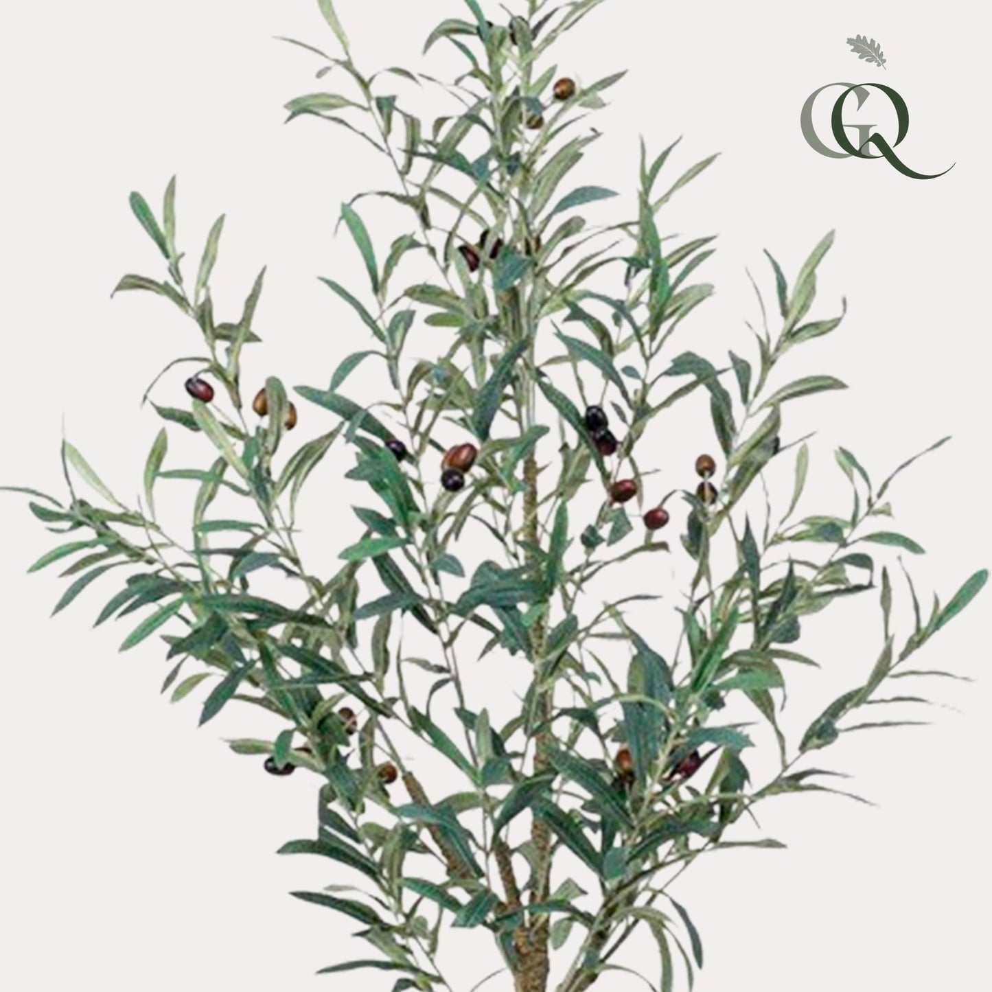Kunstpflanze Olea europaea Olivenbaum 115 cm – Pflegeleicht & Realistisch | Pflanzfix24.de - Pflanzfix24.de