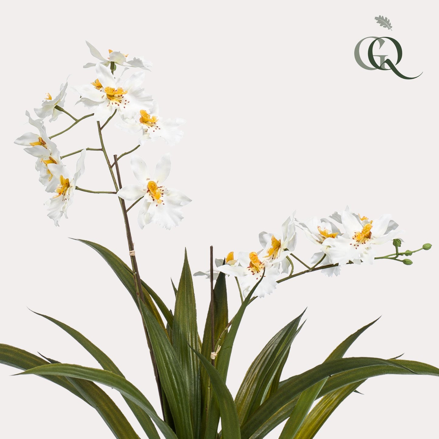 Kunstpflanze Orchidee Weiß 45 cm | Pflanzfix24.de - Pflanzfix24.de