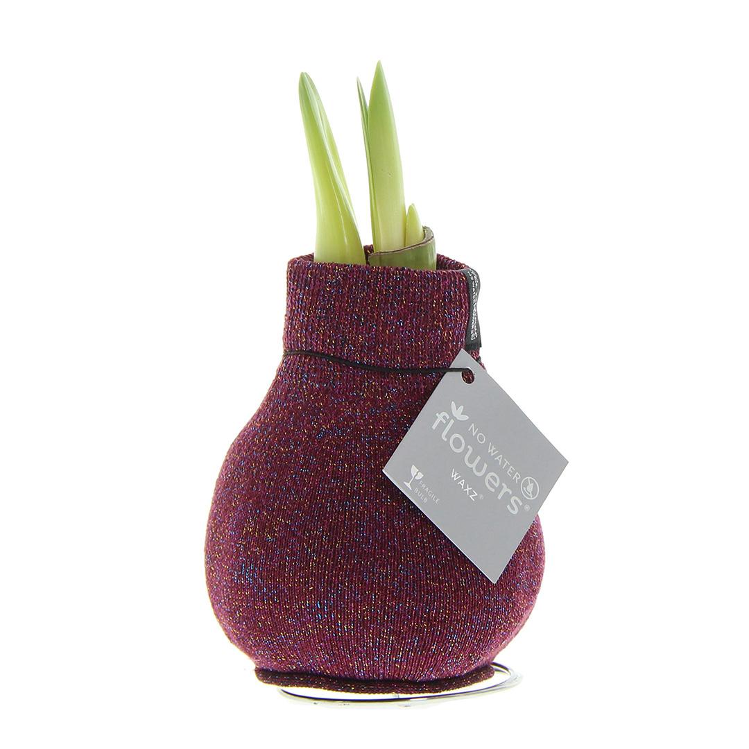 No Water Flowers® (wax amaryllis) | Fashionz Patternz Shine - Bordeaux + Red flower - Pflanzfix24
