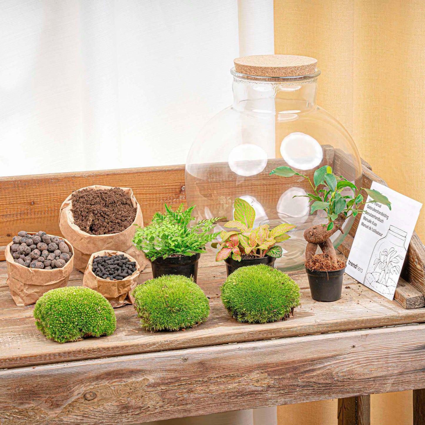 Flaschengarten - Bolder Bob Bonsai Set - Pflanzfix24