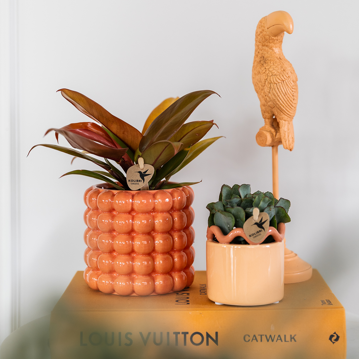 pflanzfix24 | Kolibri Home | Poppy Ziertopf - Orange - Ø9cm
