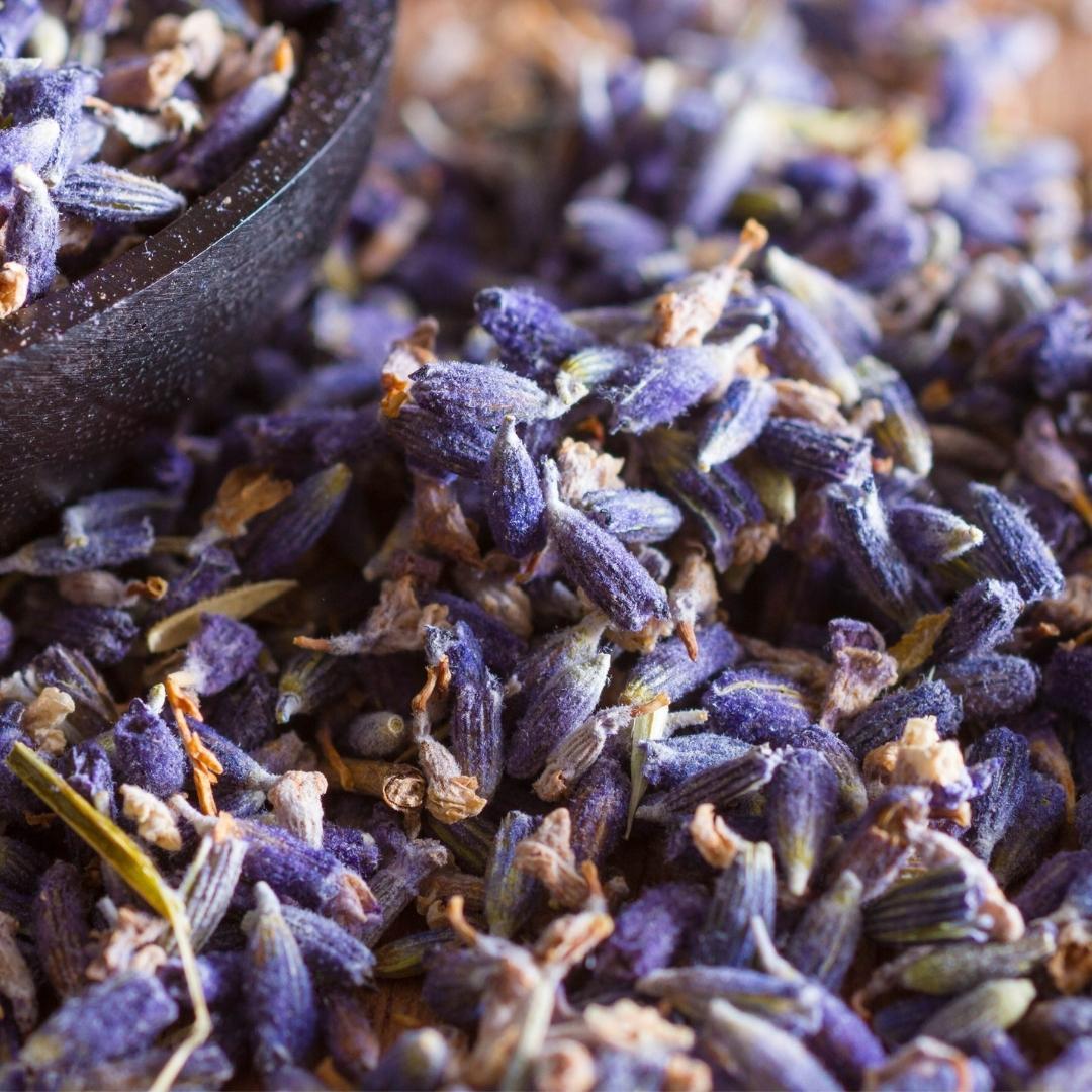 10er Pack Premium Lavendel Duftsäckchen - 10 x 20 Gramm - Pflanzfix24