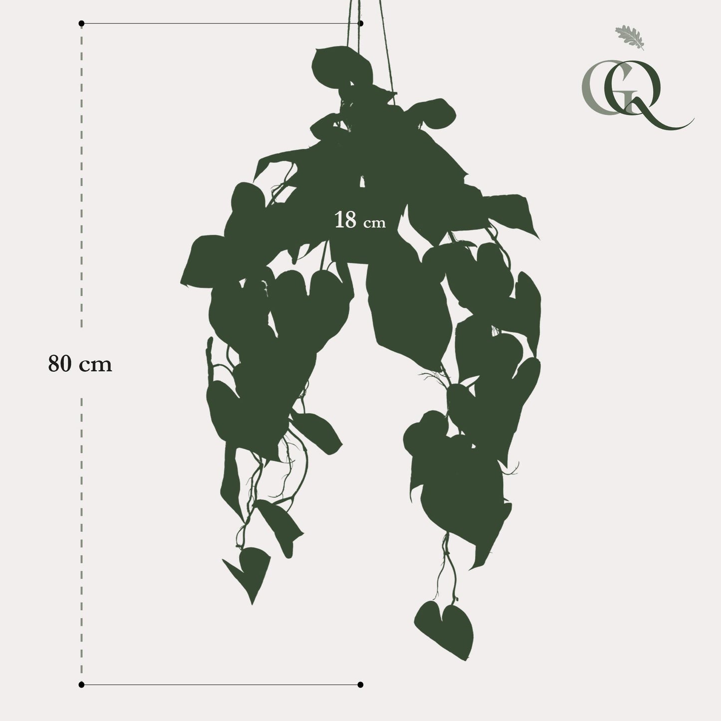 Kunst-Anthurium Clarinervium 80 cm – Pflanzfix24.de - Pflanzfix24.de