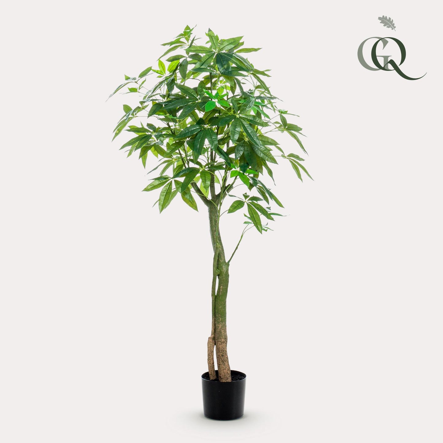 Kunstpflanze Pachira Aquatica 150 cm – Glückskastanie & Allergikerfreundlich | Pflanzfix24.de - Pflanzfix24.de