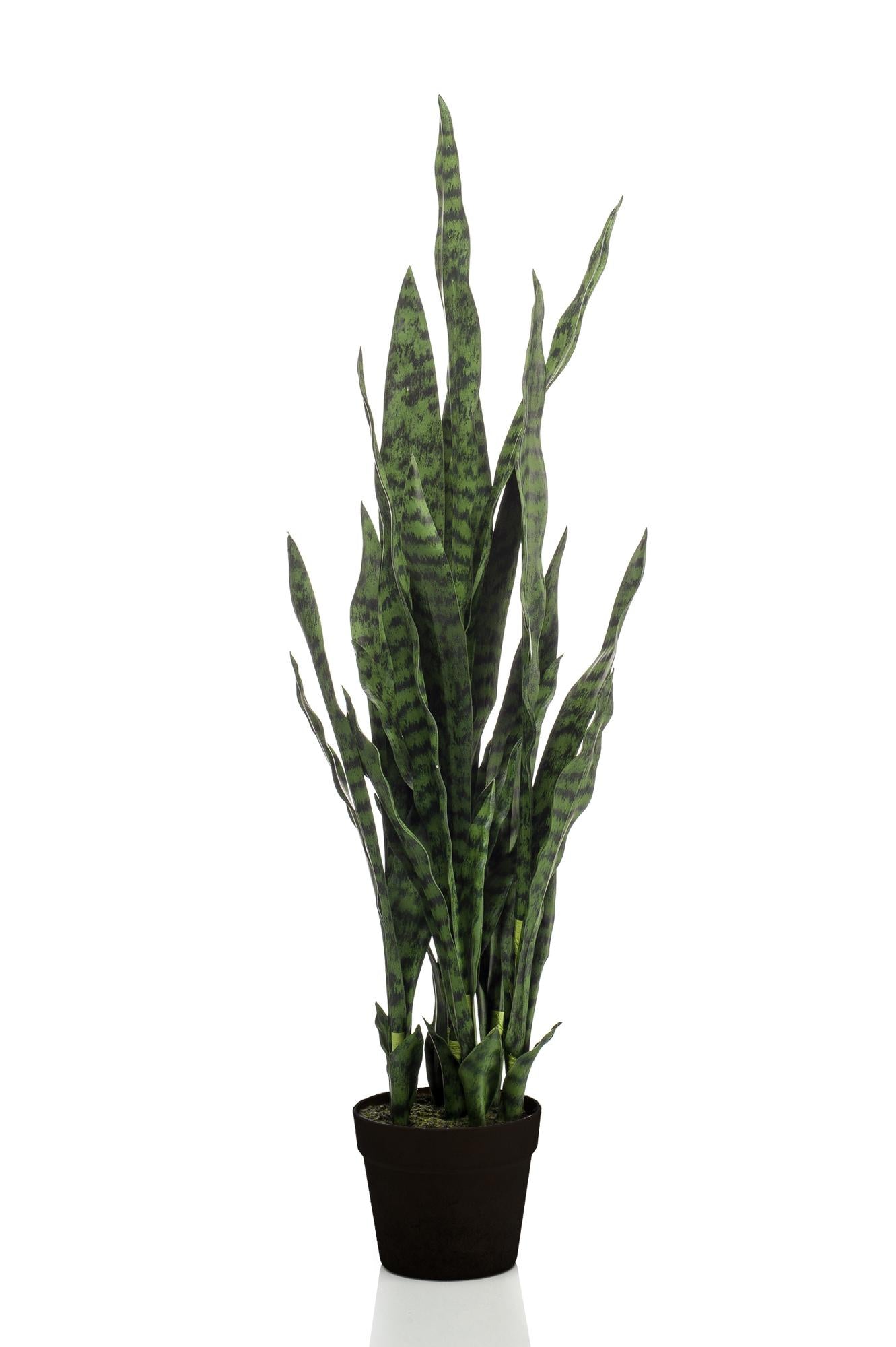 Kunst-Sansevieria Black Coral 97 cm – Frauenzunge | Pflanzfix24.de - Pflanzfix24.de